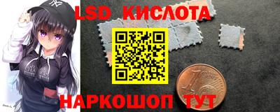 дмт Кудрово
